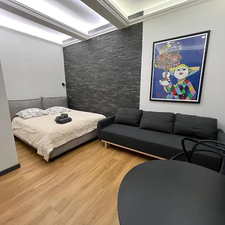 Newly Renovated Luxury In The Center Of Apartman Cannes